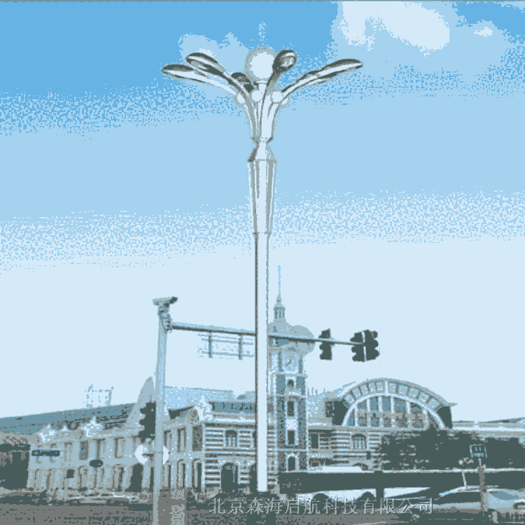 美麗鄉(xiāng)村6米太陽能路燈 質(zhì)量保證 接受定制 安全可靠性強(qiáng)