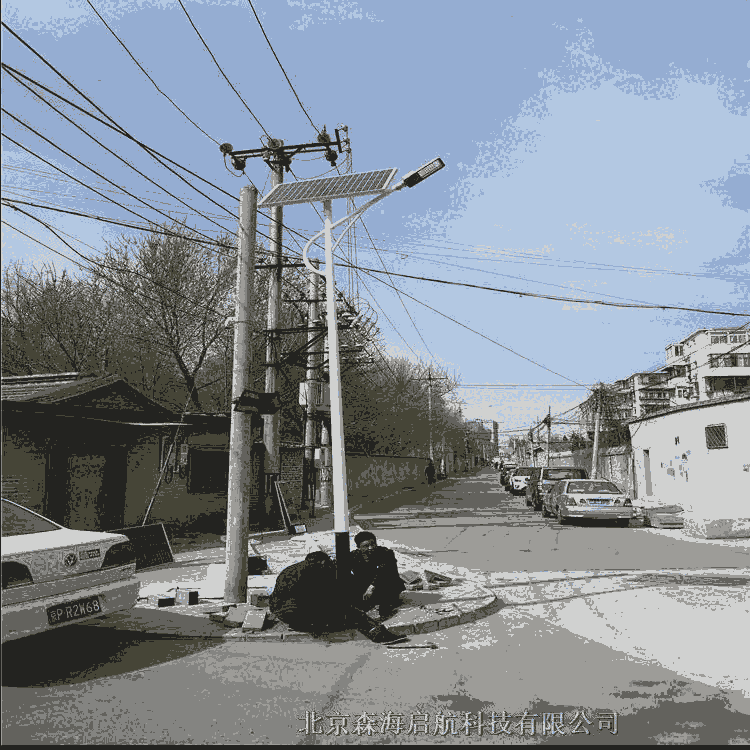 LED中華燈 玉蘭燈 北京路燈工廠直銷